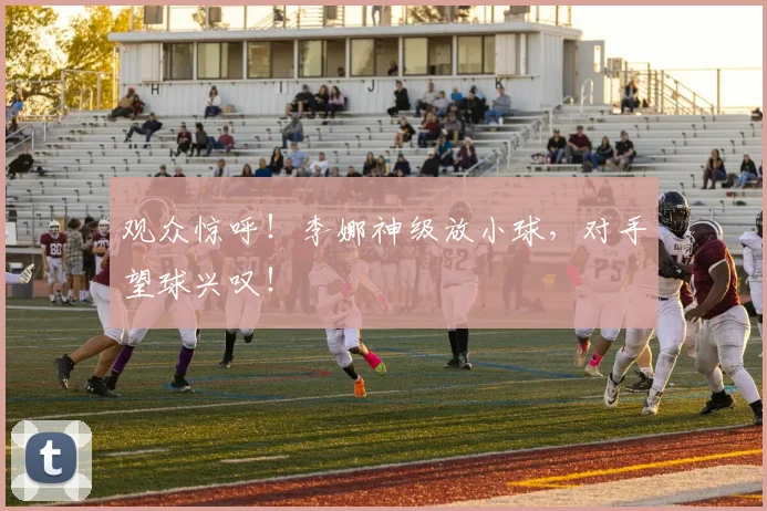 观众惊呼！李娜神级放小球，对手望球兴叹！