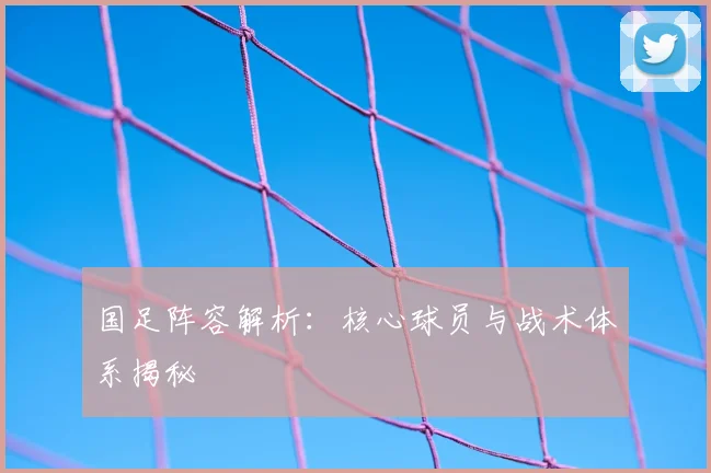 国足阵容解析：核心球员与战术体系揭秘