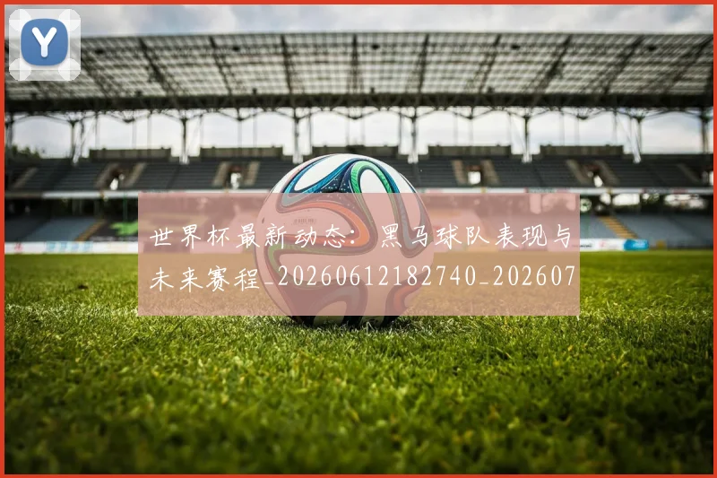 世界杯最新动态：黑马球队表现与未来赛程_20260612182740_20260702174411